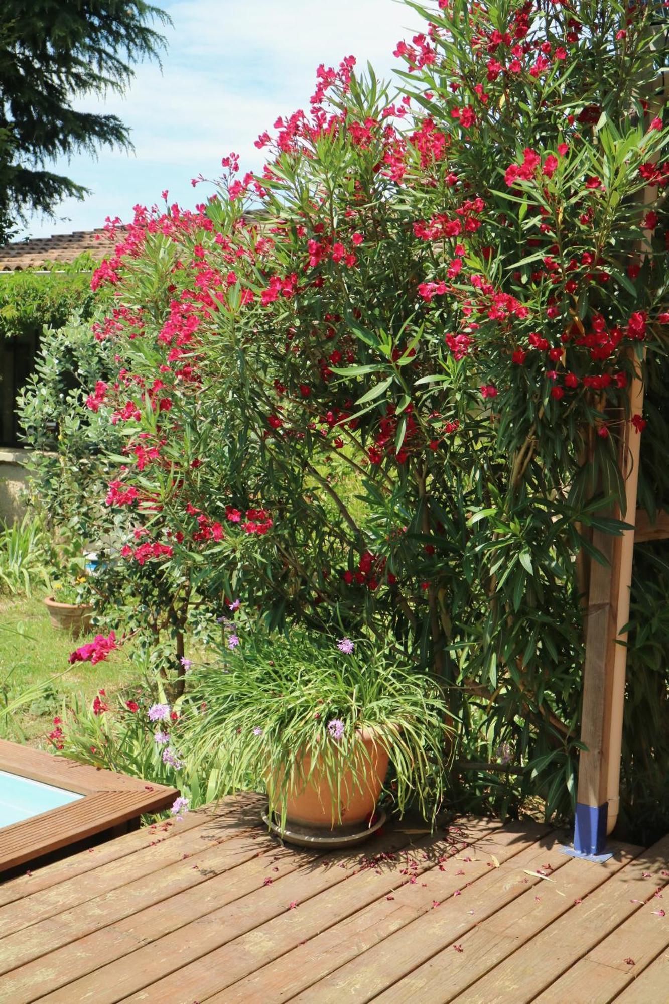 Un Temps Pour Le Reve Bed & Breakfast Valence  Exterior foto
